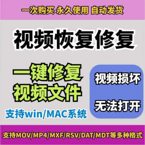 损坏MP4视频修复软件断电恢复工具短片导出摄像机视频文件修复-虚拟仓发货