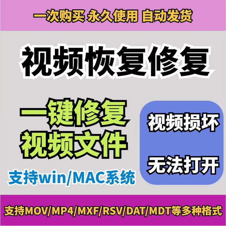 损坏MP4视频修复软件断电恢复工具短片导出摄像机视频文件修复-虚拟仓发货