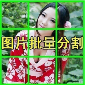 图片批量切割软件 图片批量分割工具 批量切图器 图片批量裁剪-虚拟仓发货