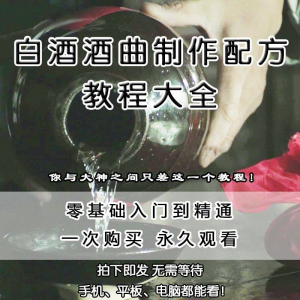 白酒酒曲制作配方教程酿酒技术秘方勾兑视频教学课程零基础学习-虚拟仓发货