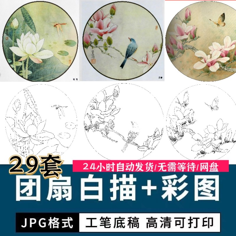 工笔花鸟白描国画团扇线描底稿彩图临摹参考电子版高清图片素材库-虚拟仓发货