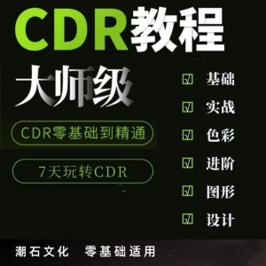 cdr教程视频Coreldraw自学平面设计广告排版零基础入门学习课程-虚拟仓发货