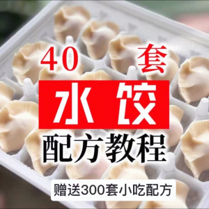 【0.01秒发】40套水饺技术配方 特制技术视频教程-虚拟仓发货