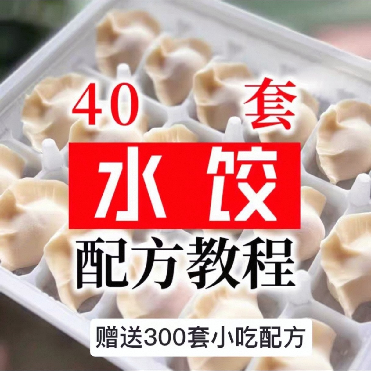【0.01秒发】40套水饺技术配方 特制技术视频教程-虚拟仓发货
