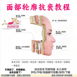 美商课程面部轮廓抗衰美肤减龄变美视频教程形象管理内在美好气色-虚拟仓发货