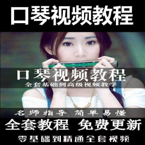 口琴自学教程视频零基础初学者入门到专业十孔24孔教学-虚拟仓发货