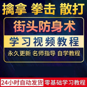 街头防身术擒拿拳击散打视频教程全套入门自学零基础学习教程视频-虚拟仓发货