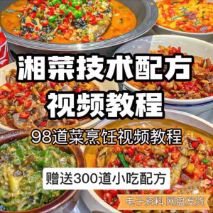 【0.01秒发】98道湘菜技术配方视频教程商用湖南菜炒菜特色小吃-虚拟仓发货