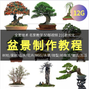 盆景制作技术视频教程工艺教学果树桩山水微型造型全套-虚拟仓发货