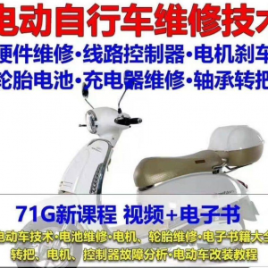 电动车维修视频自学教程零基础学习常见故障保养技术案例讲解大全-虚拟仓发货