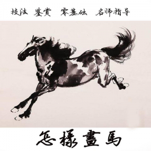 怎么画马视频教程教学自学画马技巧全套零基础入门到提高名水墨画-虚拟仓发货