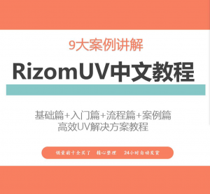 RizomUV中文教程高效UV解决方案视频教学零基础入门自学软件入门-虚拟仓发货