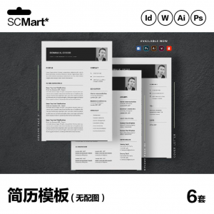 6套高级英文简历Word简历 ai psd设计师简历模板毕业生简历CV29-虚拟仓发货