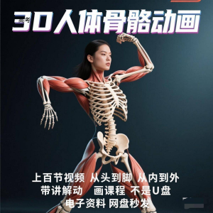 中医人体骨骼肌肉学习3D动态讲解演示视频自学零基础中医人体高考-虚拟仓发货