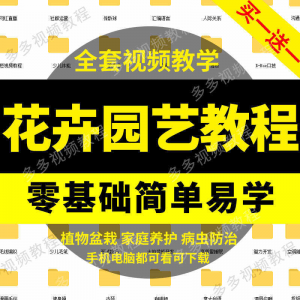 花卉园艺家庭养花盆栽苗圃栽培常识自学视频教程素材资料全套课程-虚拟仓发货