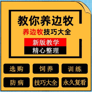 边牧训练方法教程边境牧羊犬驯养技术饲养喂养选购训犬技巧大全套-虚拟仓发货