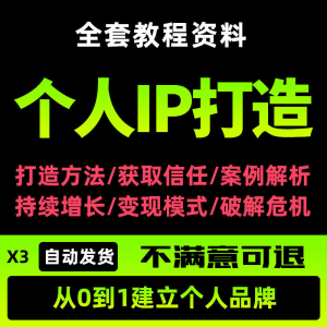 个人IP打造教程如何快速打造个人IP社交品牌定位训练营资料大全新-虚拟仓发货