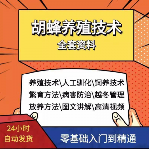 胡蜂养殖技术蜜蜂视频资料黄蜂黑盾怎样养胡蜂人工饲养教程大全-虚拟仓发货