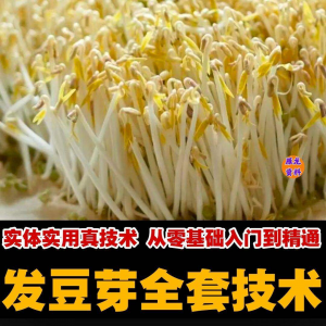 自学发豆芽技术资料豆芽加工制作方法教学 培育豆芽商用视频教程-虚拟仓发货
