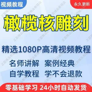 橄榄核雕刻视频学习教程新手自学零基础入门精通教学课程全集-虚拟仓发货