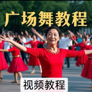 中老年广场舞视频下载高清视频教学打包MP4 MP3背面动作分解教程-虚拟仓发货
