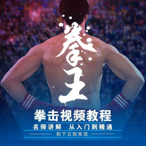 拳击教学视频 自学教程 训练零基础运动入门健身搏击格斗武术课程-虚拟仓发货
