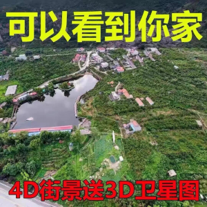 3D高清卫星地图影像2024图源导航定位3d立体地图手机永久免费-虚拟仓发货