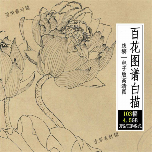 百花图谱白描线稿图集 国画花卉植103幅tif格式3.6G高清图片素材-虚拟仓发货
