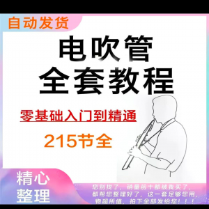 乐器电吹管教程课程实用学习视频初学者入门零基础网盘电子版教程-虚拟仓发货
