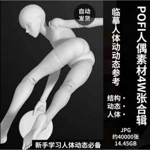 pofi无限人偶4W截图绘画素材pofi无线人偶人体动态学习素材临摹-虚拟仓发货