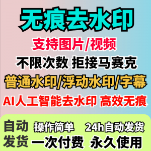 视频去水印软件无痕消除文字AI去除图片字幕水印处理手机电脑神器-虚拟仓发货