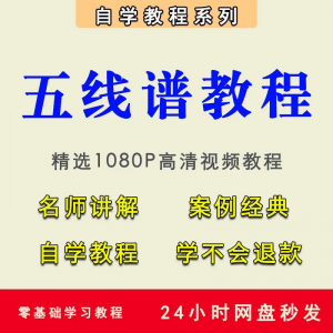 五线谱视频教程教学培训课程在线自学儿童零基础从入门到精通教程-虚拟仓发货