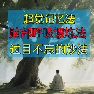 过目不忘修炼记忆力脑部呼吸锻炼法改造大脑健身气功养生训练方法-虚拟仓发货