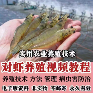 对虾养殖技术视频教学教程水质管理日常养护疾病防治南美白素材-虚拟仓发货