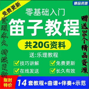 零基础笛子教程自学入门进阶视频初学者教学成人儿童学竹笛教材全-虚拟仓发货