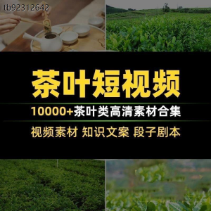 茶叶茶业茶具茶道茶艺茶文化知识文案茶园采茶泡茶高清短视频素材-虚拟仓发货
