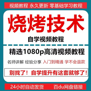 烧烤技术教程视频配方书东北重庆烧烤技术配方教程自学教材零基础-虚拟仓发货